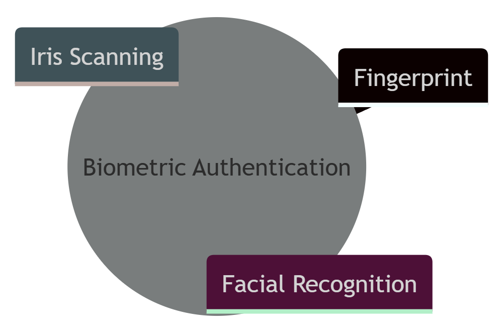 Diagram illustrating biometric authentication methods: fingerprint, facial recognition, and iris scanning